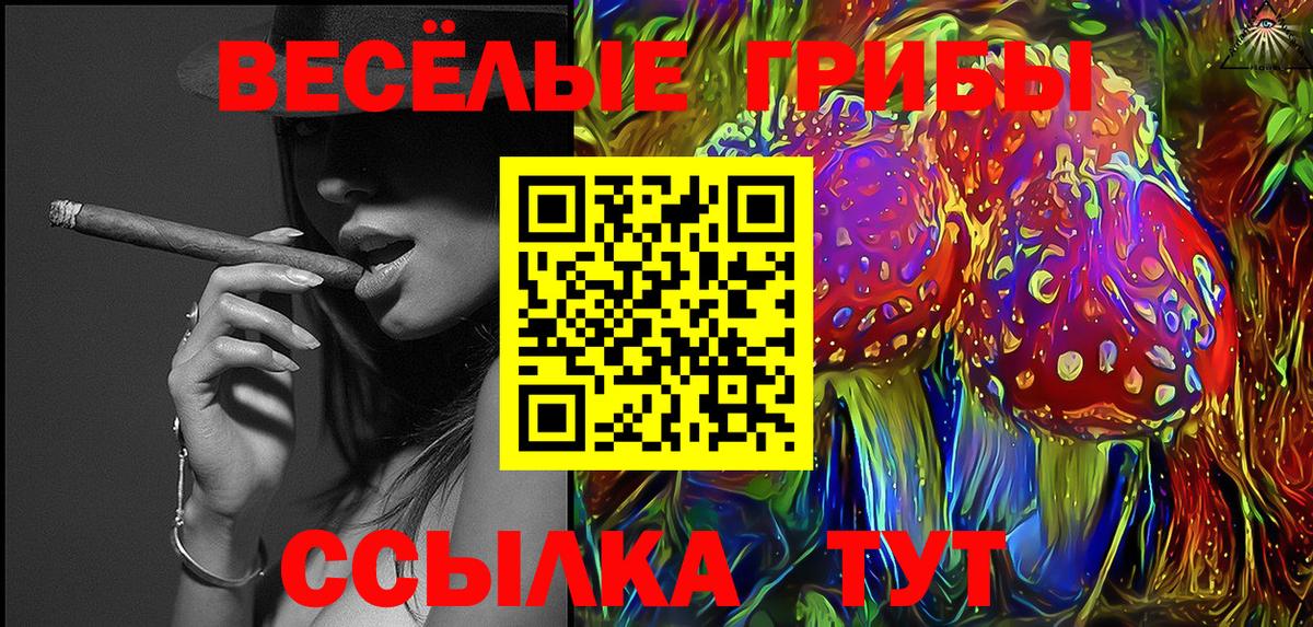 Псилоцибиновые грибы прущие грибы  Вход с VPN  Йошкар-Ола 